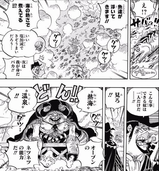 ワンピース ネツネツの実とメラメラの実やマグマグの実との違いは 能力を紹介 3ページ目 Selvy