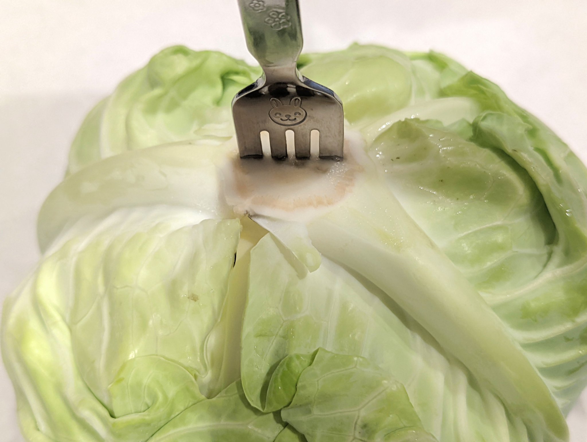 青髪のテツ 野菜のプロ お願い キャベツは 成長点を壊して保存して下さい 野菜は収穫後も成長しており 成長のため可食部の栄養や水分を消費することで傷みやすくなります キャベツの成長点は芯の奥にあり 芯をフォークでグサグサ刺していくと