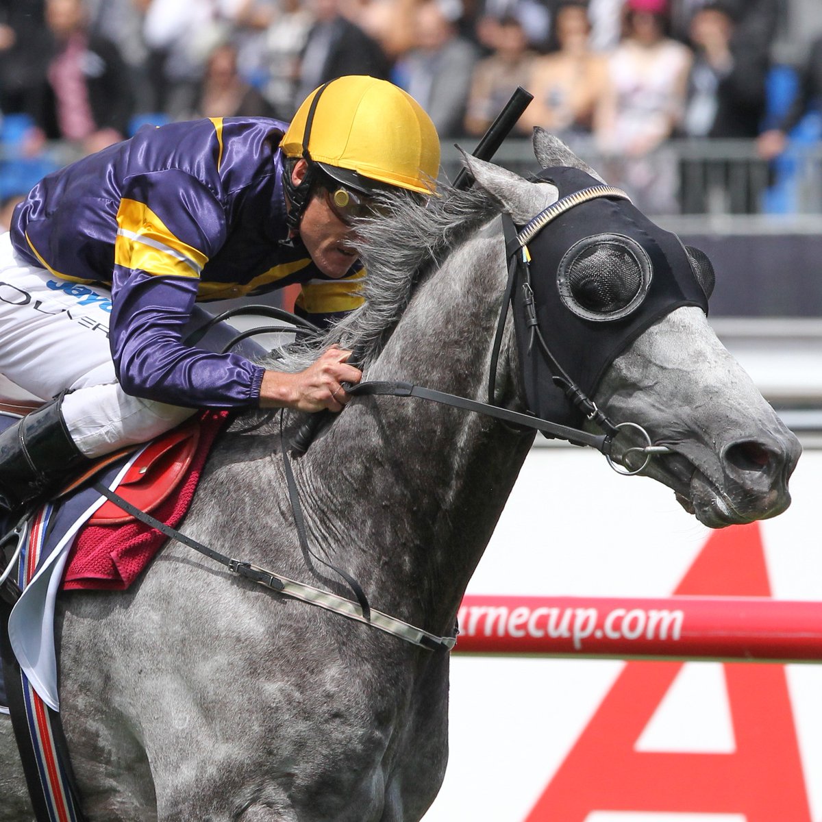 Racing.com tweet media