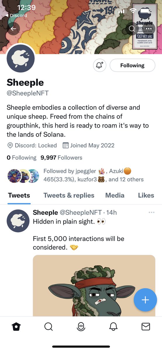 AgnesWolf tweet media