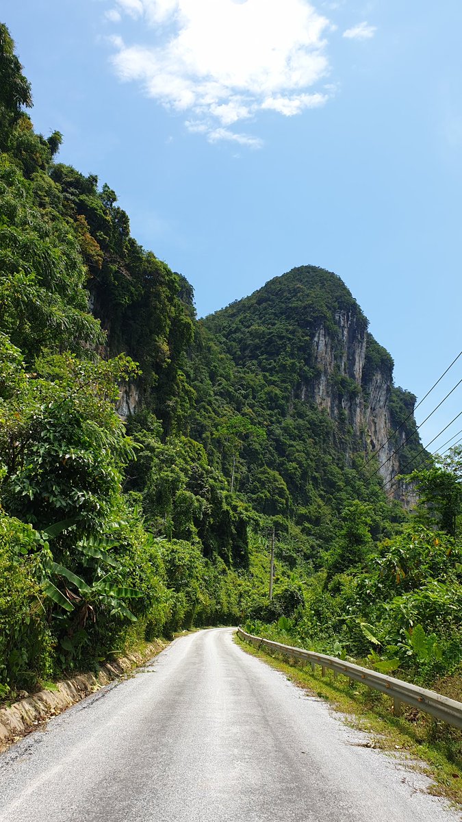 Me acabo de pegar una rutaza en moto por #PhongNha de esas que quitan el hipo. #Vietnam

Más info de la ruta:
elvietnamita.com/que-hacer-en-p…