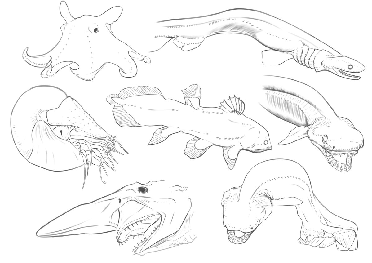 一週間スケッチまとめ5 深海生物 