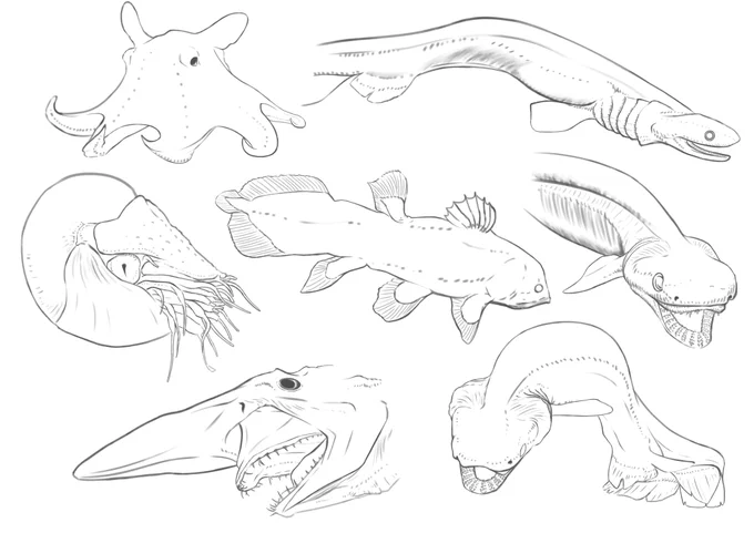 一週間スケッチまとめ5 深海生物 