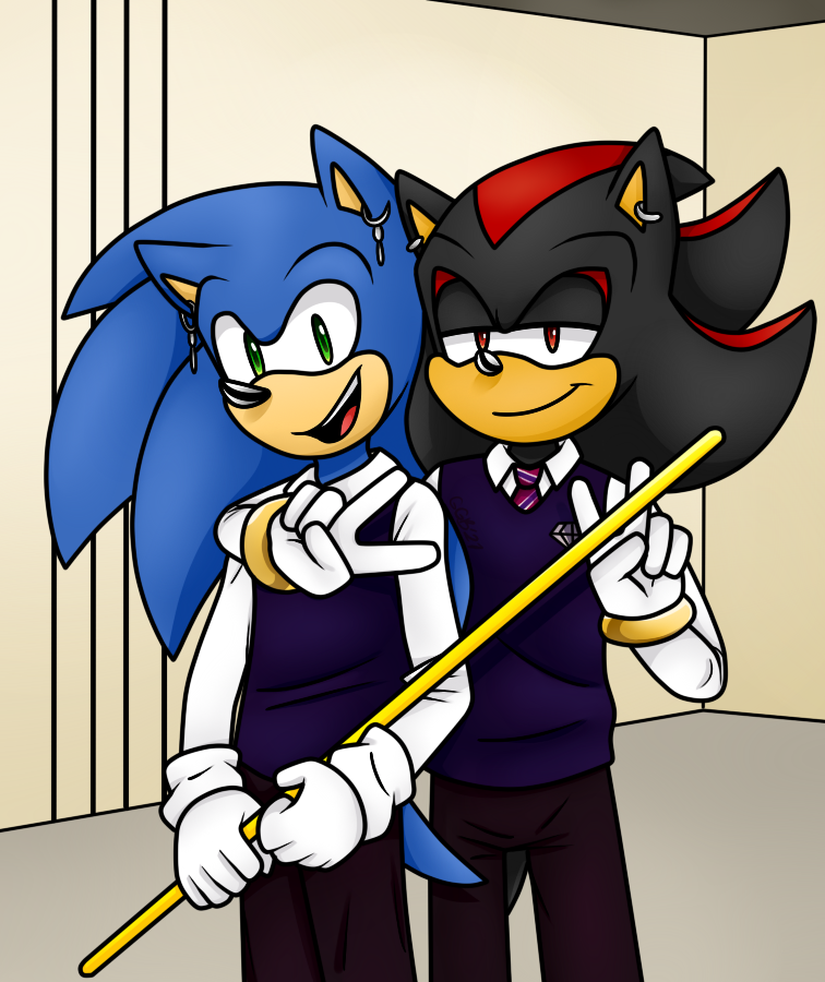 SONADOW (sonic seme X shadow uke)