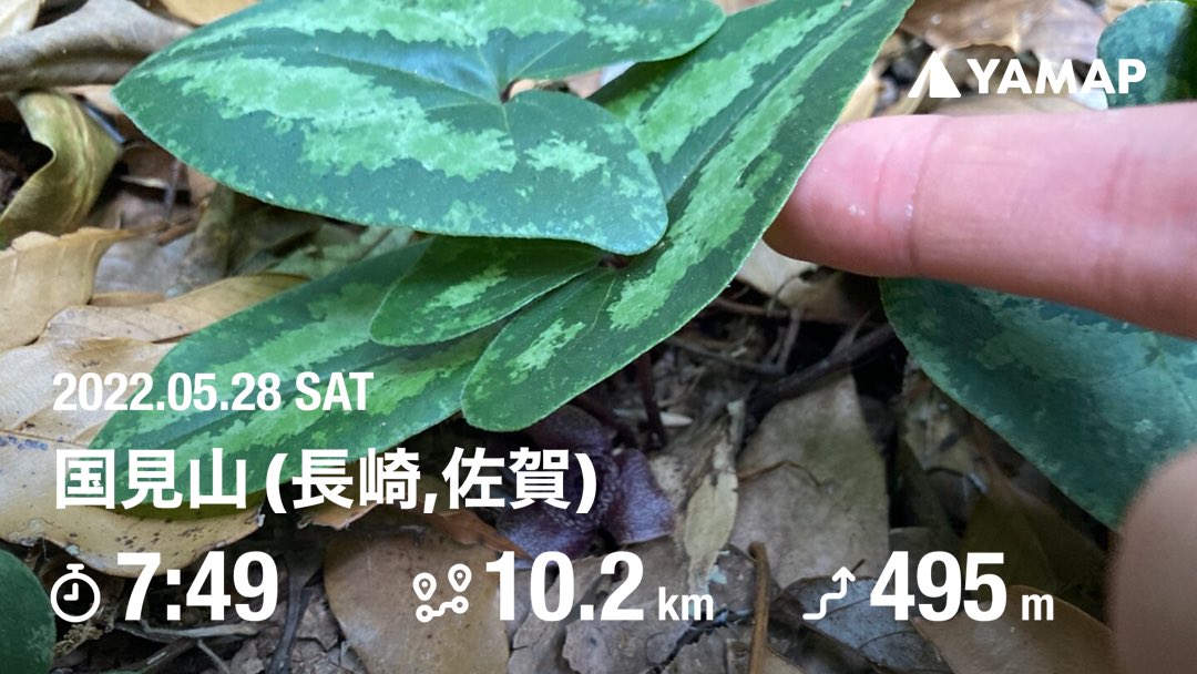 国見山・多利山 yamap.com/activities/176… #YAMAP