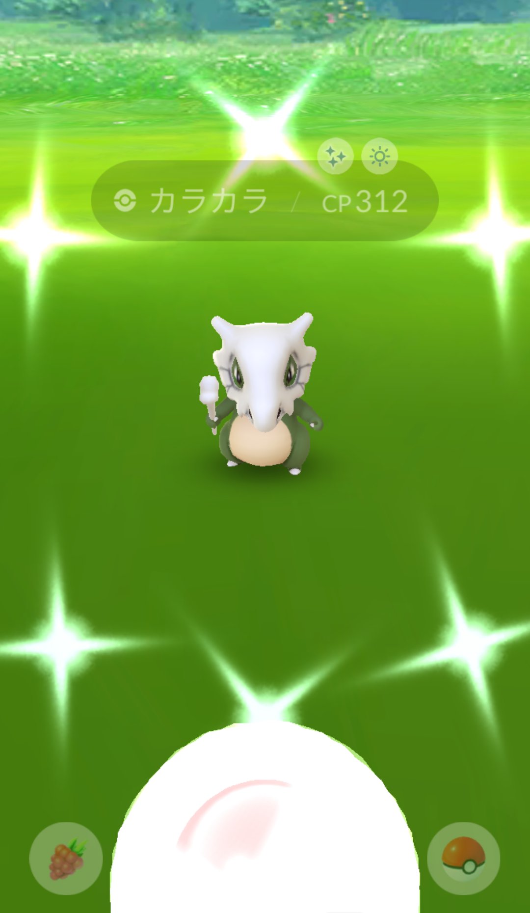 Twitter এ 百式改 カラカラ 捕まえた 母親の頭蓋骨を被ると言う ポケモンgo カラカラ色違い T Co Luiocfkf31 ট ইট র