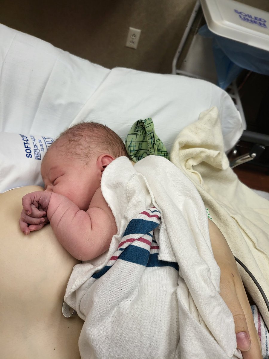 BoLT Solburg tweet media