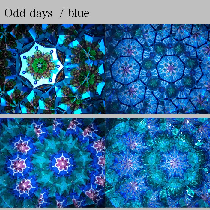 Fabric of the day CHECK グリーン スコープ rehacare-s.co.jp