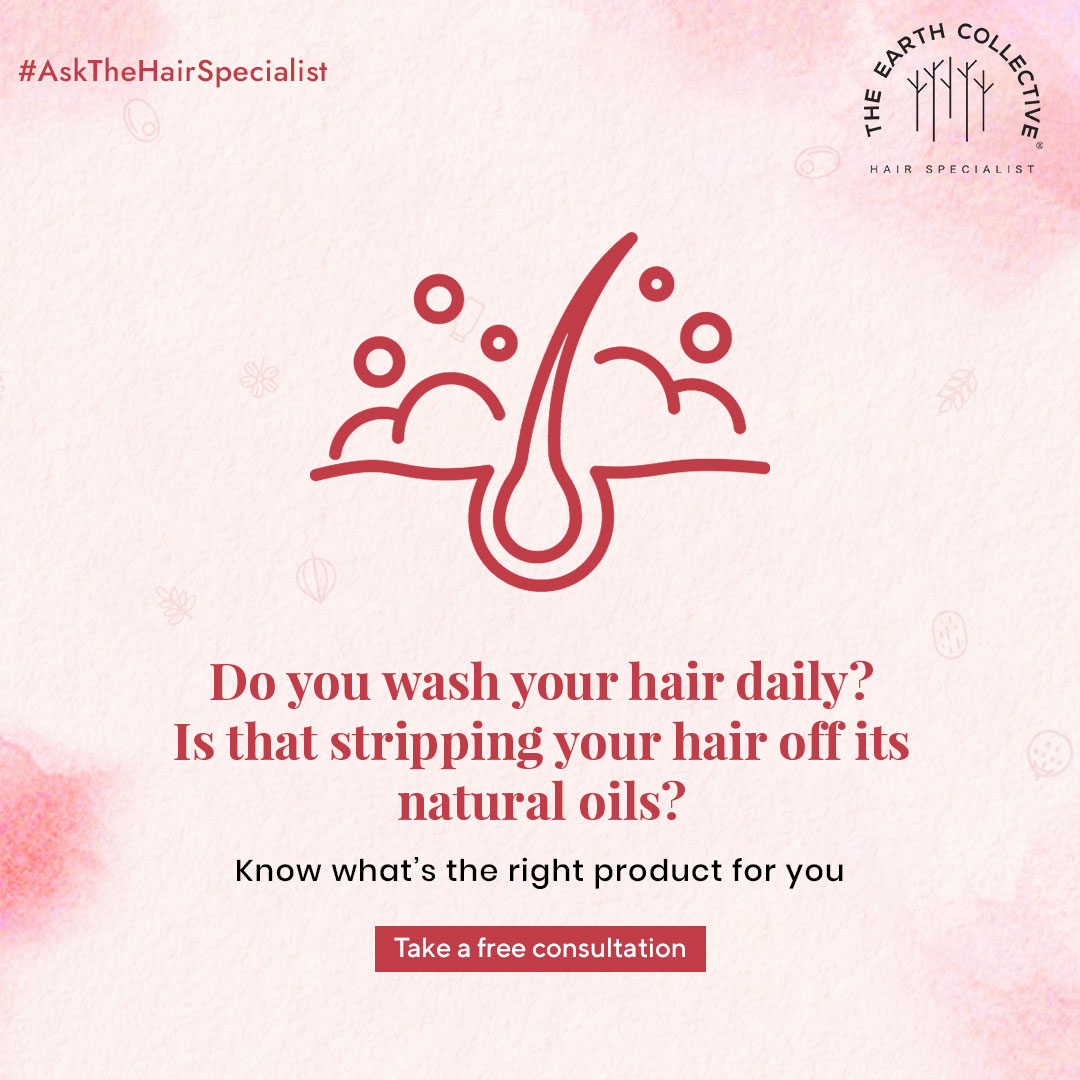 TheEC_Official's tweet photo. The way we choose to wash our hair should evolve and change over time. But are you using the right product to wash your hair?

Better #AskTheHairSpecialist @ https://t.co/dhPiVtA7H2

#TheEarthCollective #HairNourishment #HairSpecialists #UnisexHairCare #OnlineConsultation https://t.co/gOVZfI1v0u