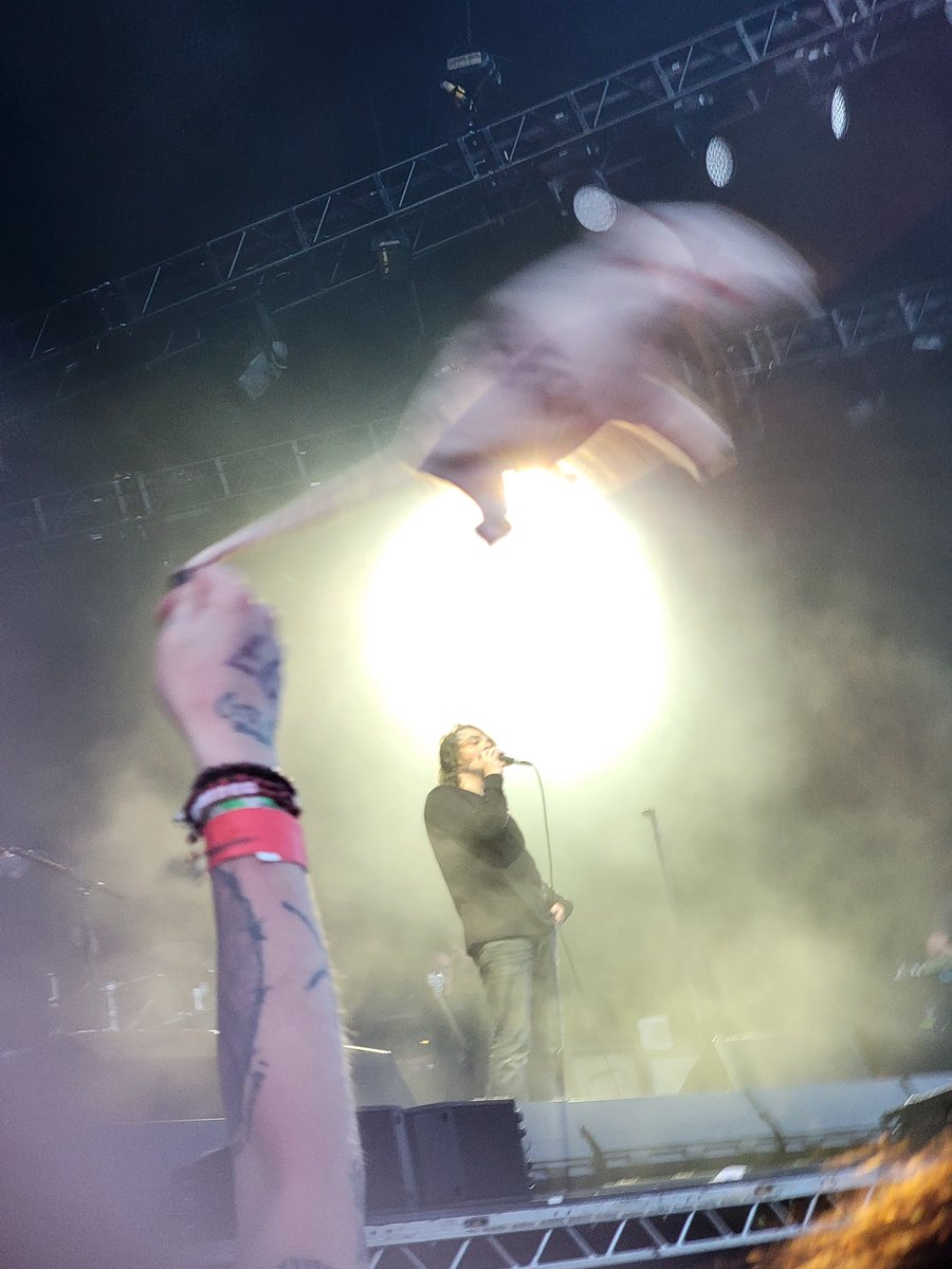 mischiefanimals's tweet image. 