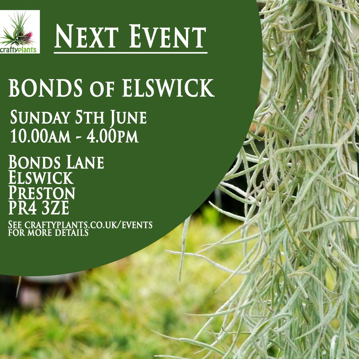 We'll be at Bonds of Elswick on Sunday 5th June from 10-4
Hope to see you there.

#elswick #preston #bondsofelswick  #sundaymotivation #sunday #sundayfunday #plants #plantsforsale #airplants #succulents #cactiandsucculents #cacti #cactus🌵 #bromeliads #aeoniums <a href="/bondsofelswick/">Bonds of Elswick</a>