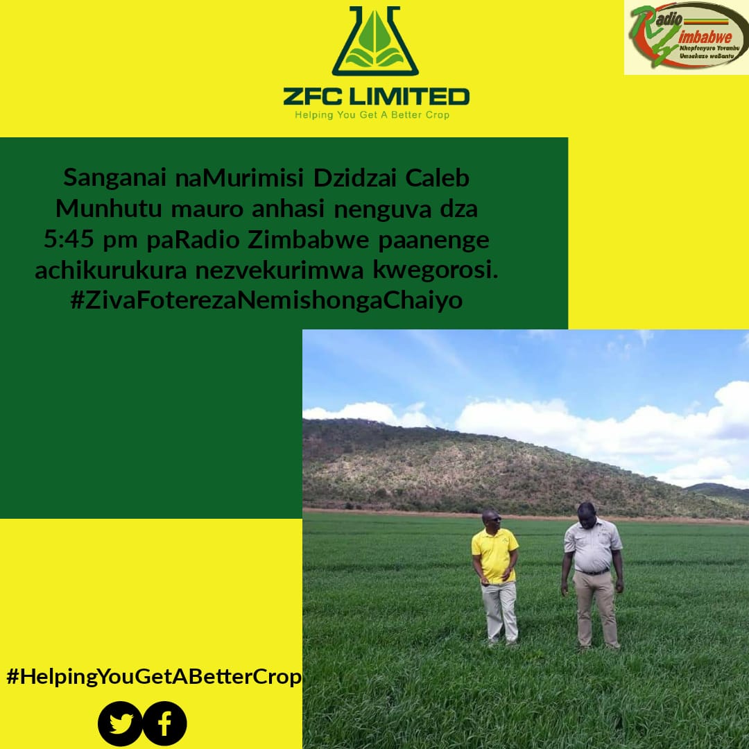 Sanganai nesu paRadio Zimbabwe, apo patinenge tine Murimisi wedu Dzidzai Caleb Munhutu. Tichange tichikurukura nezvekurimwa kwegorosi. Zvikomo zvinotambidzana mhute.

#ZivaFoterezaNemishongaChaiyo
#ZImAgricRising