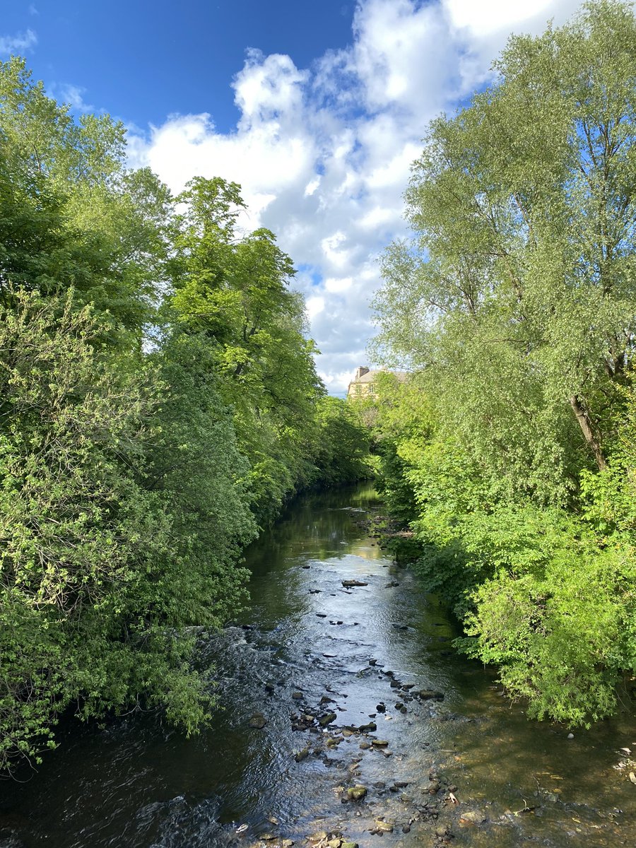 PatersonHelena's tweet photo. The river of my runs.
Sometimes slow, sometimes fast.
Not a raging torrent just now or a muddle of thoughts.
Peace, calm.
Time to think with the flow.
#PsyRuns #Glasgow #RiverKelvin https://t.co/eVkjw6oqNu
