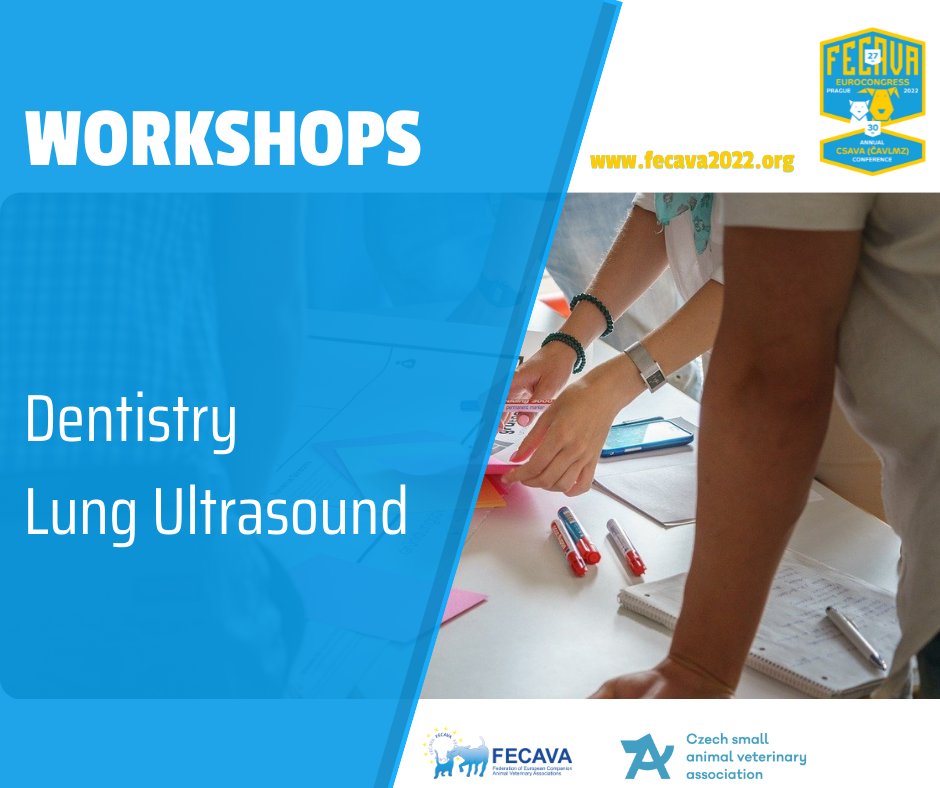 Fecava2022's tweet photo. There is still a chance to attend WORKSHOPS. Visit the website for more info! #fecava2022 @FecavaVets 
https://t.co/3FEN0CriWE https://t.co/mal2WVLVph