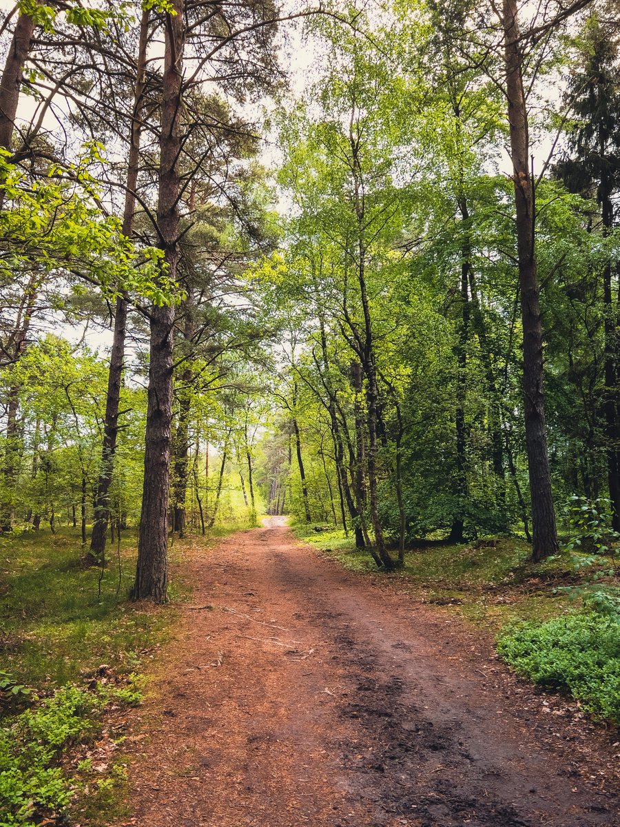 Marcin Banach tweet media