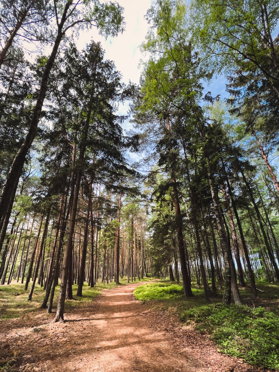 Marcin Banach tweet media