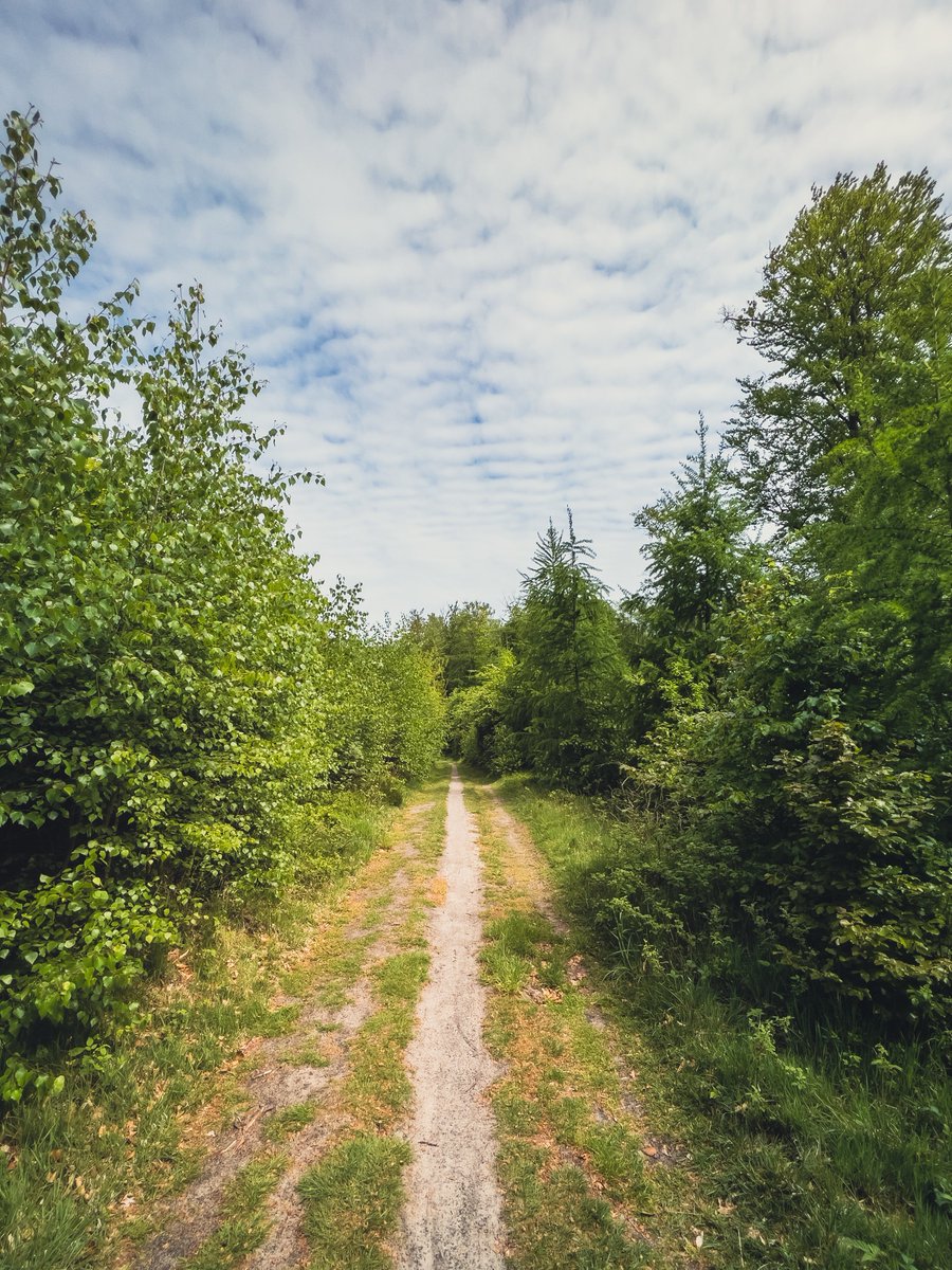 Marcin Banach tweet media