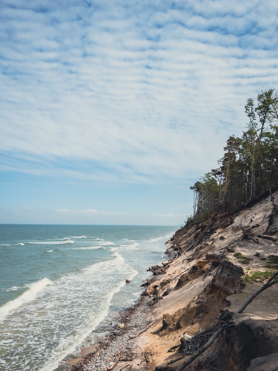 Marcin Banach tweet media