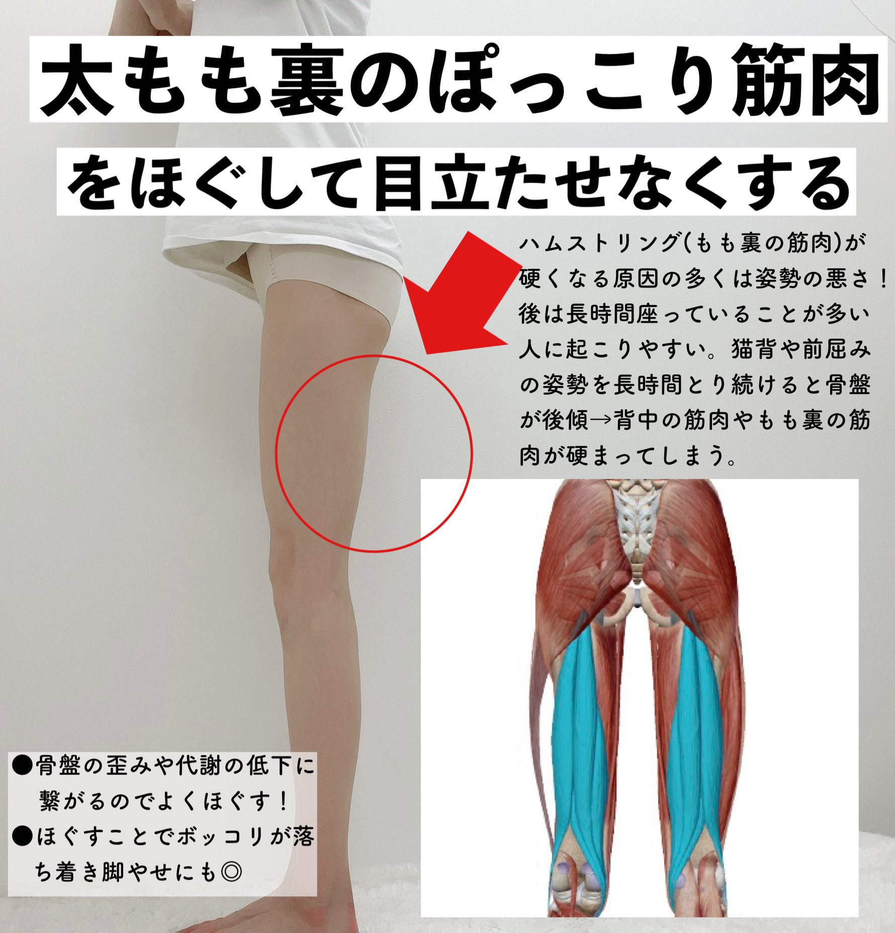 توییتر トレえみ 40kg痩せた人 در توییتر 太もも裏の筋肉がボコっと出ている人はこのマッサージをやってみて ダイレクトに筋肉を掴んでほぐすのが一番手っ取り早いしめちゃくちゃほぐれる やり方の動画verをリプにつけておきます T Co Kdtuzewj17