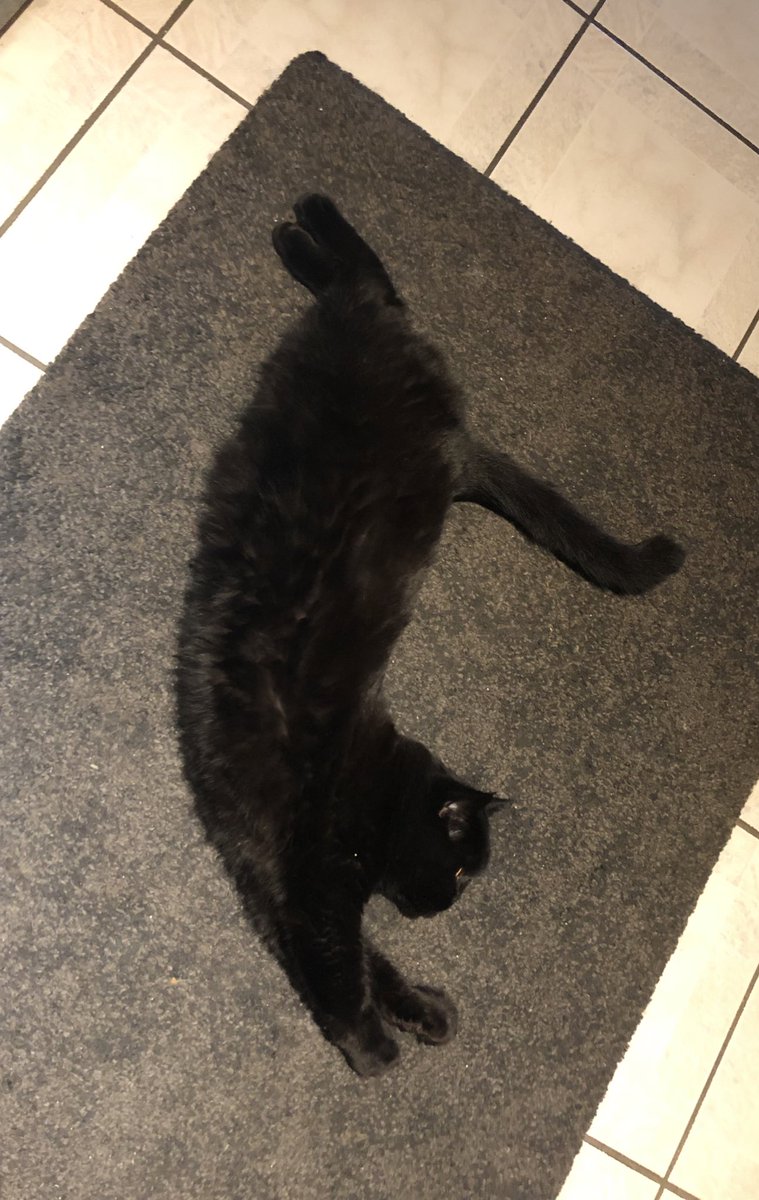 GM. Dont forget to do those stretches when starting out your day 🙌