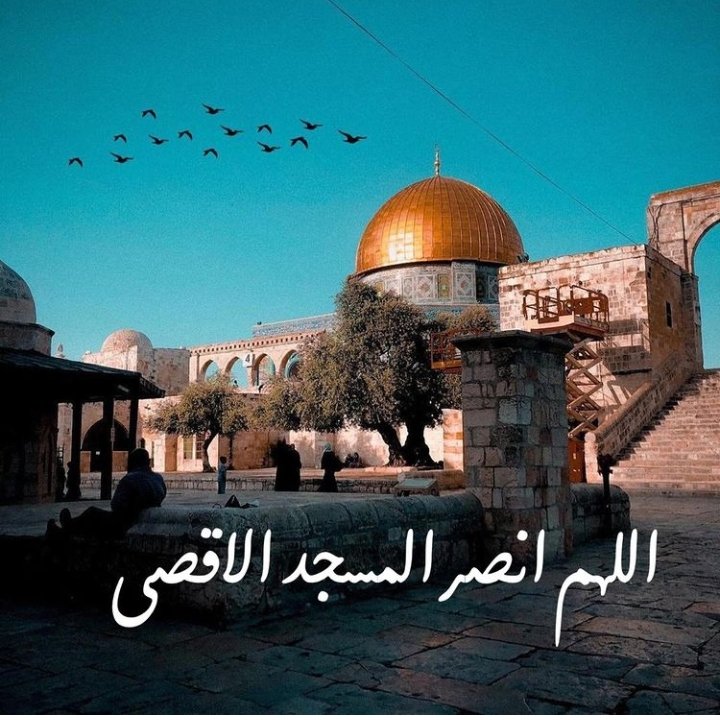 whibi4's tweet photo. #الاقصى https://t.co/GGm9uj0pf4
