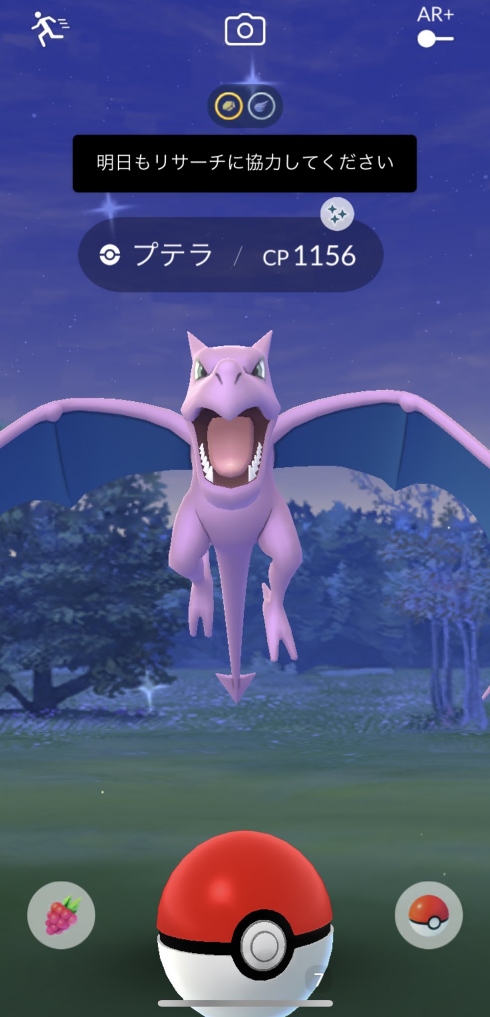 ポケモンgo 輝 Pokegyouza7 プテラ個体値ダメだったか どうせなら色違いをメガにしたいよね Twitter