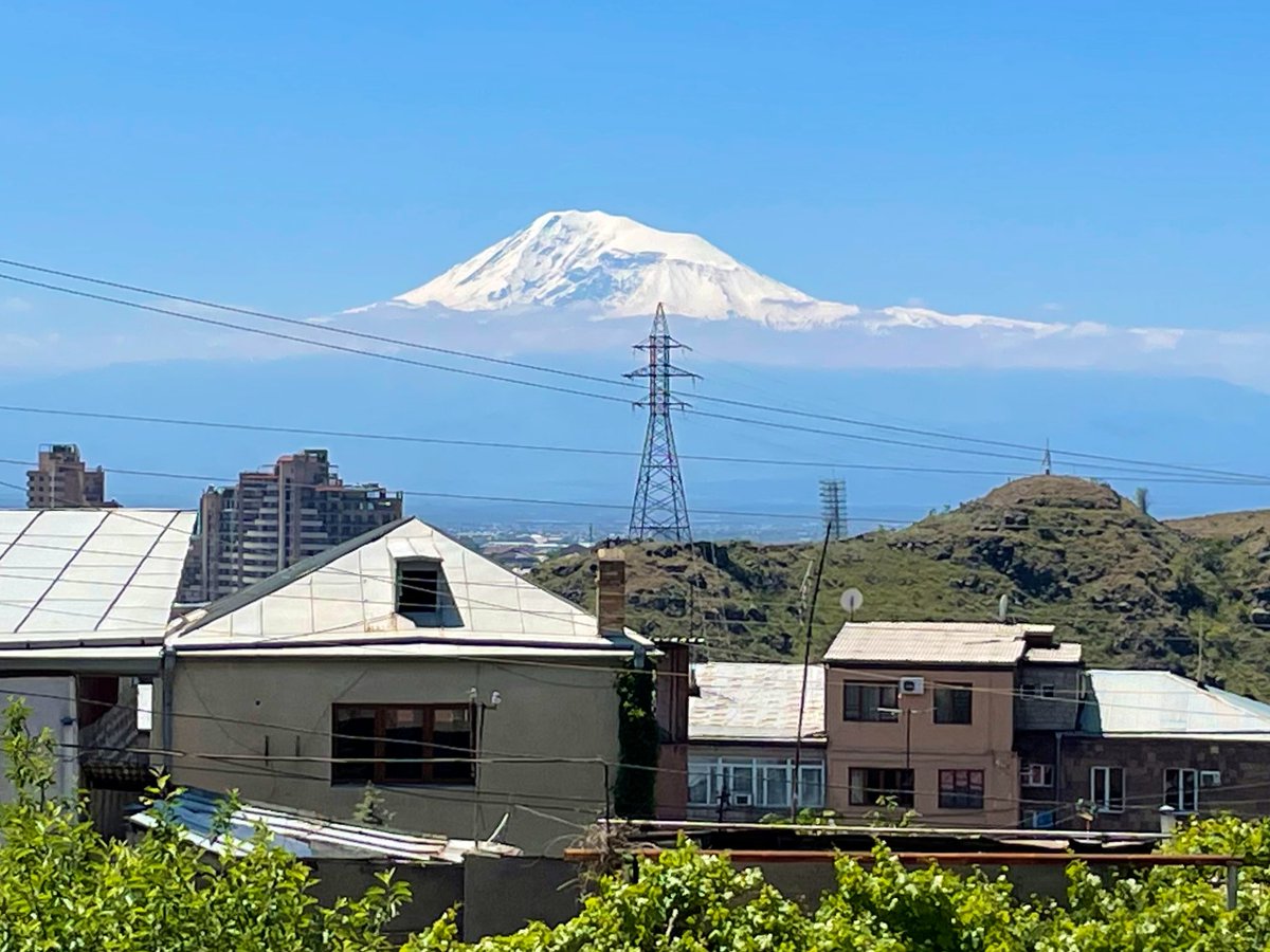 edwarded tweet media