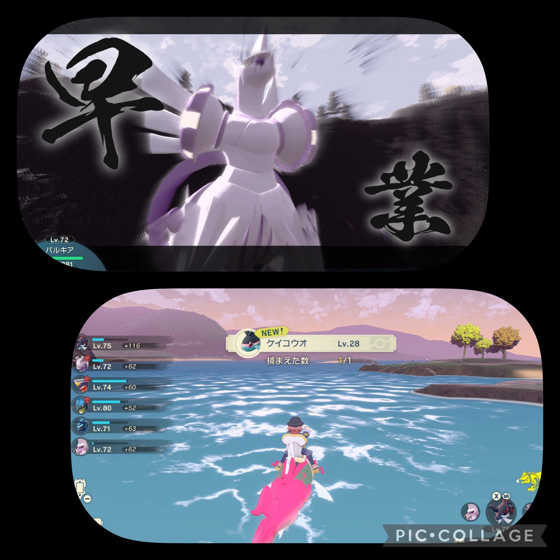 ちょこれいと 総合 夜のポケモンですo ᆺ O アルセウスになります ポケモン図鑑も今日で0を突破して3です これで残りは39かと それから攻略本のきんのたまもgetして大金持ちになりました ちょこのポケモン T Co Hbg9fxadwl Twitter