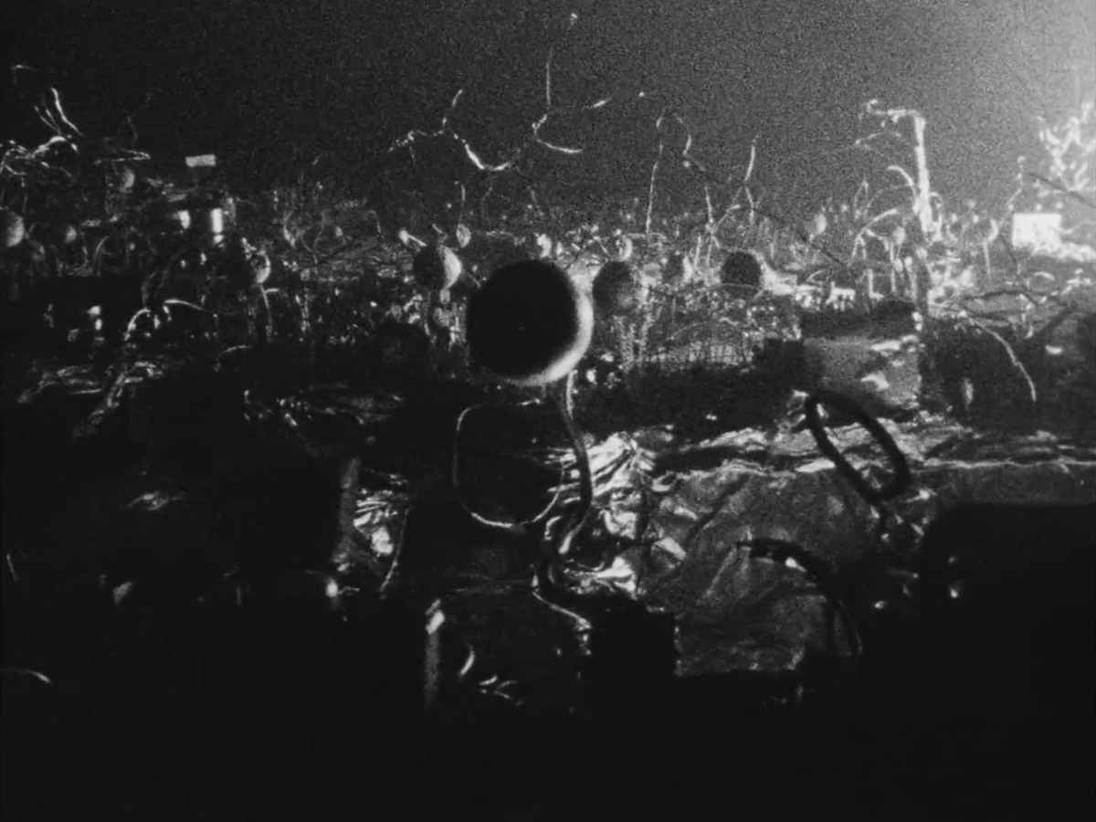 Nina_Salander's tweet photo. Tetsuo The Iron Man (鉄男) - Shinya Tsukamoto (1989)

#JapaneseCinema #ExperimentalCinema #Scifi #Cyberpunk #Horror #BodyHorror #Stopmotion #Pixilation https://t.co/fPbQekd64N