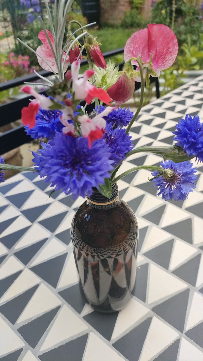 bosworth_alison's tweet photo. Oh I love it when my #homegrown #veggies start to show signs of tasty pickings, first to produce #courgette &amp; #gerkin  🥒🥒.... also a bit of experimental table displays for the #JubileeCelebration 🇬🇧  #GardeningTwitter #gardening https://t.co/iTe0Agus43