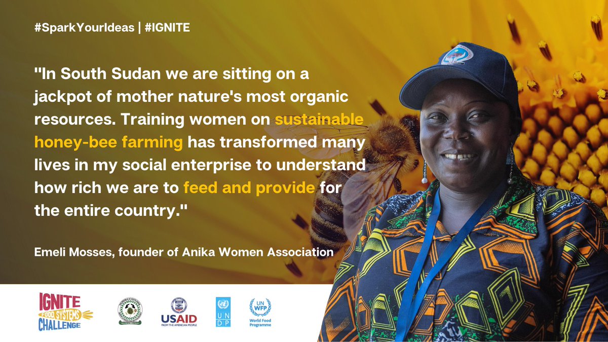 UNDP South Sudan tweet media