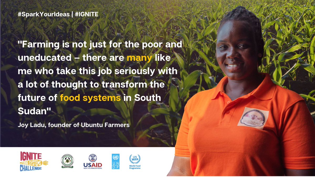 UNDP South Sudan tweet media