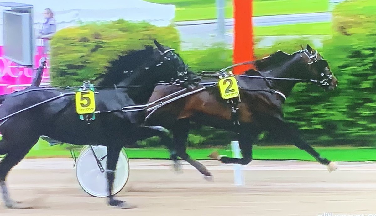 Overkligt mäktigt och så värdig!
<a href="/OlleAlsen/">Olle Alsén</a>