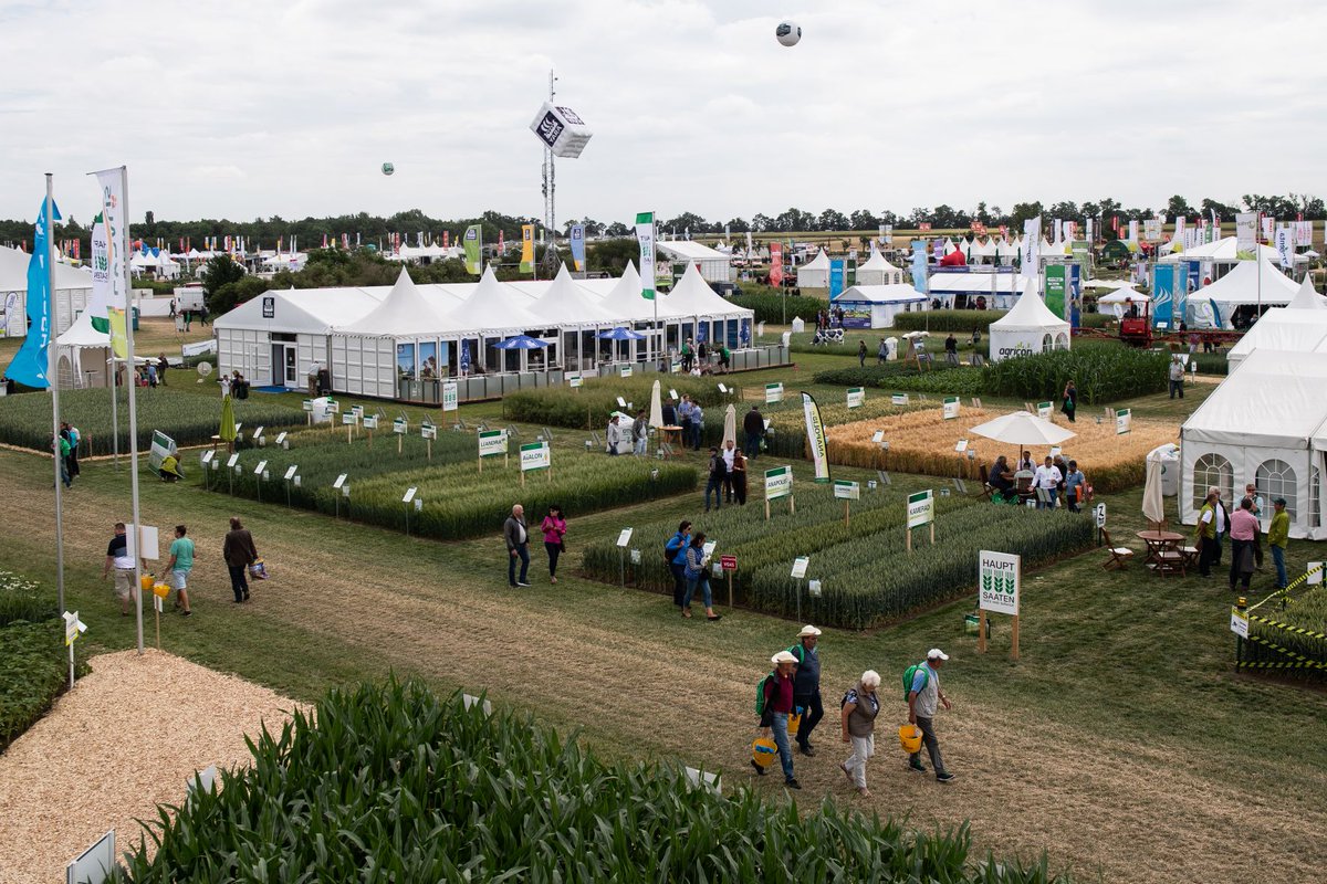 feldtage's tweet image. In trial plots: International #winterwheat contest; #FieldRobotEvent w. #fieldrobots; Live demo of 70 machines: 
Shallow #tillage; mechanical weeding; loading equipment; #nitrogenSensors, fertiliser & #cropprotection sprayer compared 
Focus on: #organicfarming, field vegetables