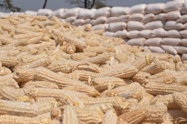 3. A farmer buys seed, fertilizers and pesticides.

He pays wage bills, fuel bills and electricity for irrigation.

If he is offered a GMB price which is lower than his expenditure, why should he be forced to sell for a loss?

This is tragic stuff of 1960s communist States!