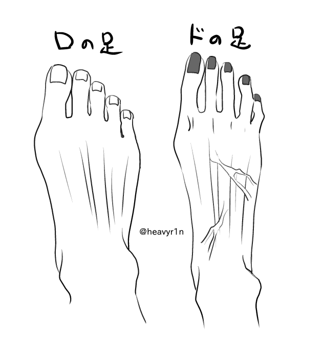 足の形状はこんなイメージ。
ロ君の指は太くて、ドちゃの指は細くて長い。
印象的に関節1個多い位の見た目。
幅がこれでもかという程細い。
ロ君はどっしりあんよ。 