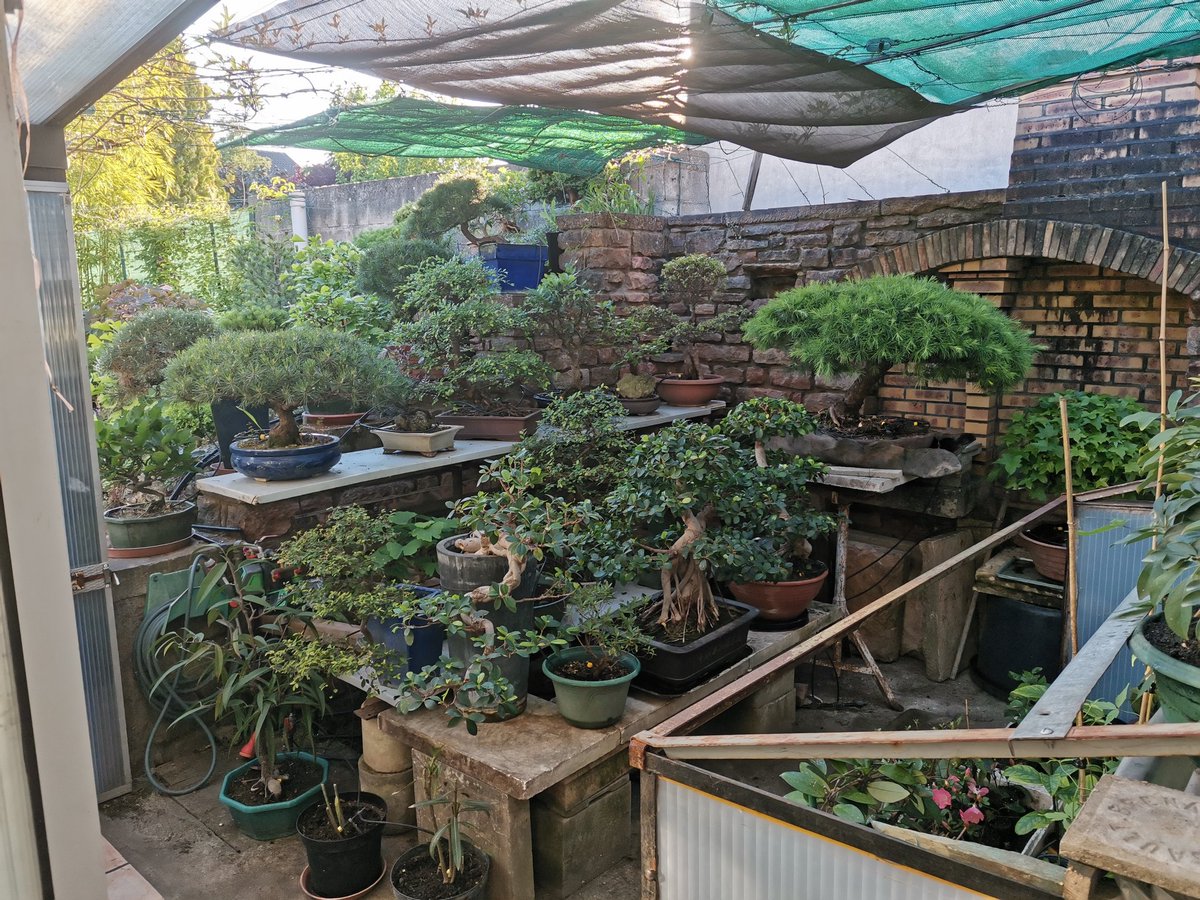 Le Chat Vénère tweet media