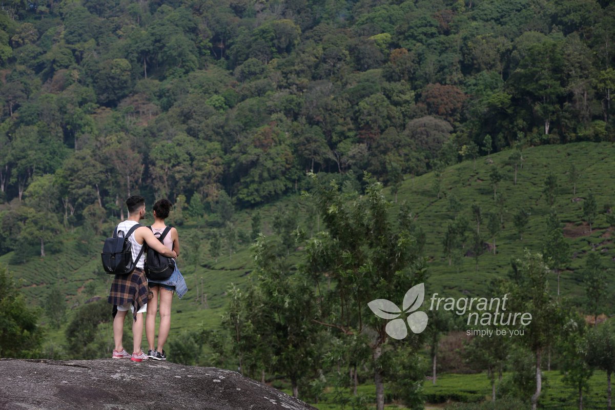 fragrantresort's tweet photo. With nature all around, you will also love the luxury we offer. @fragrantresort  #FragrantNatureMunnar✨️

DM FOR ENQUIRIES : -👇

Contact Us 📞 :  0484 415 6789
Whatsapp No : +91 9633616005

#resorts #resortskerala #resortphotography #vacationmode #fragrantnature #munnar https://t.co/eMqKTZWERW