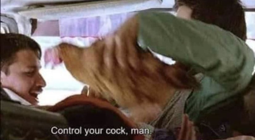 reactionalbum's tweet image. #reactionpic