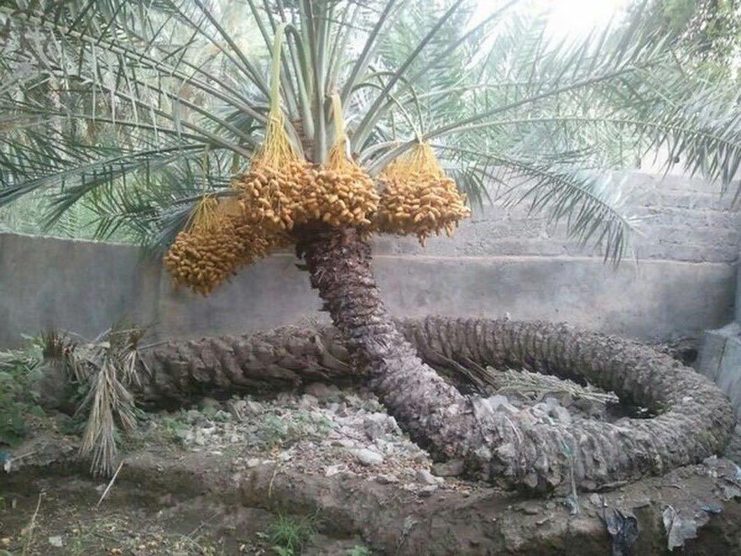 SAsocietynews's tweet photo. من تعود على العط��ء..
لا تعوقة انكسارات الزمن🌿 https://t.co/h9BvdtHPY2