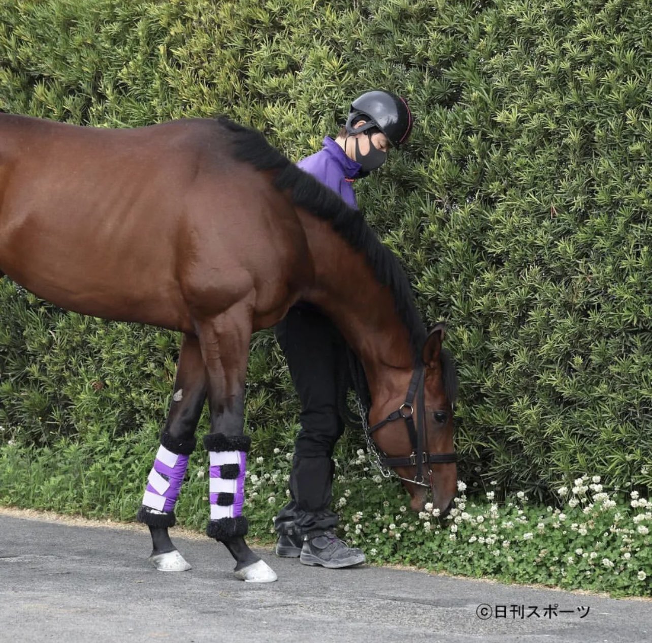 仁音莉 22年日本ダービー馬 7522頭の頂点になったドウデュースの道草写真置いときます T Co Emvqodv7g2 T Co 5nkps18mt6 Twitter