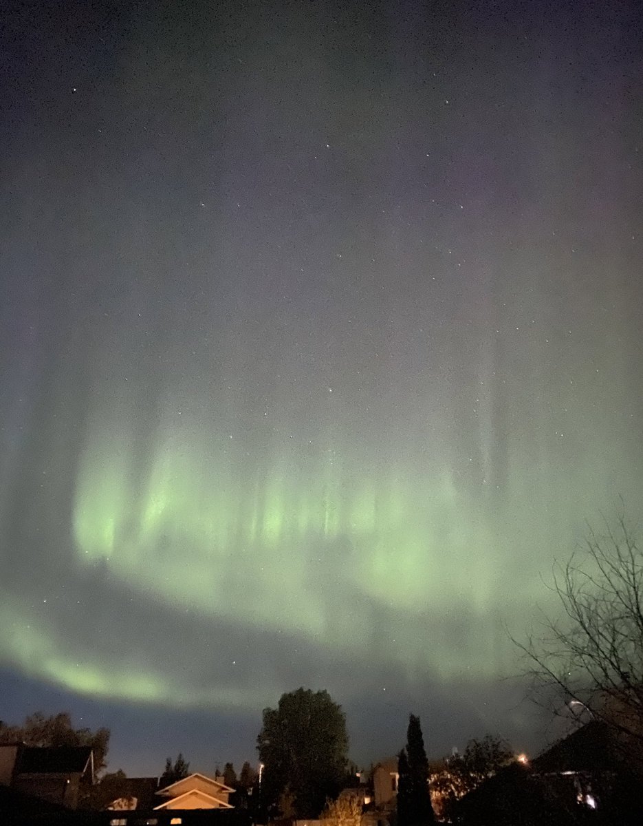 There’s a beautiful show in the skies tonight #NorthernLights #backyardviews