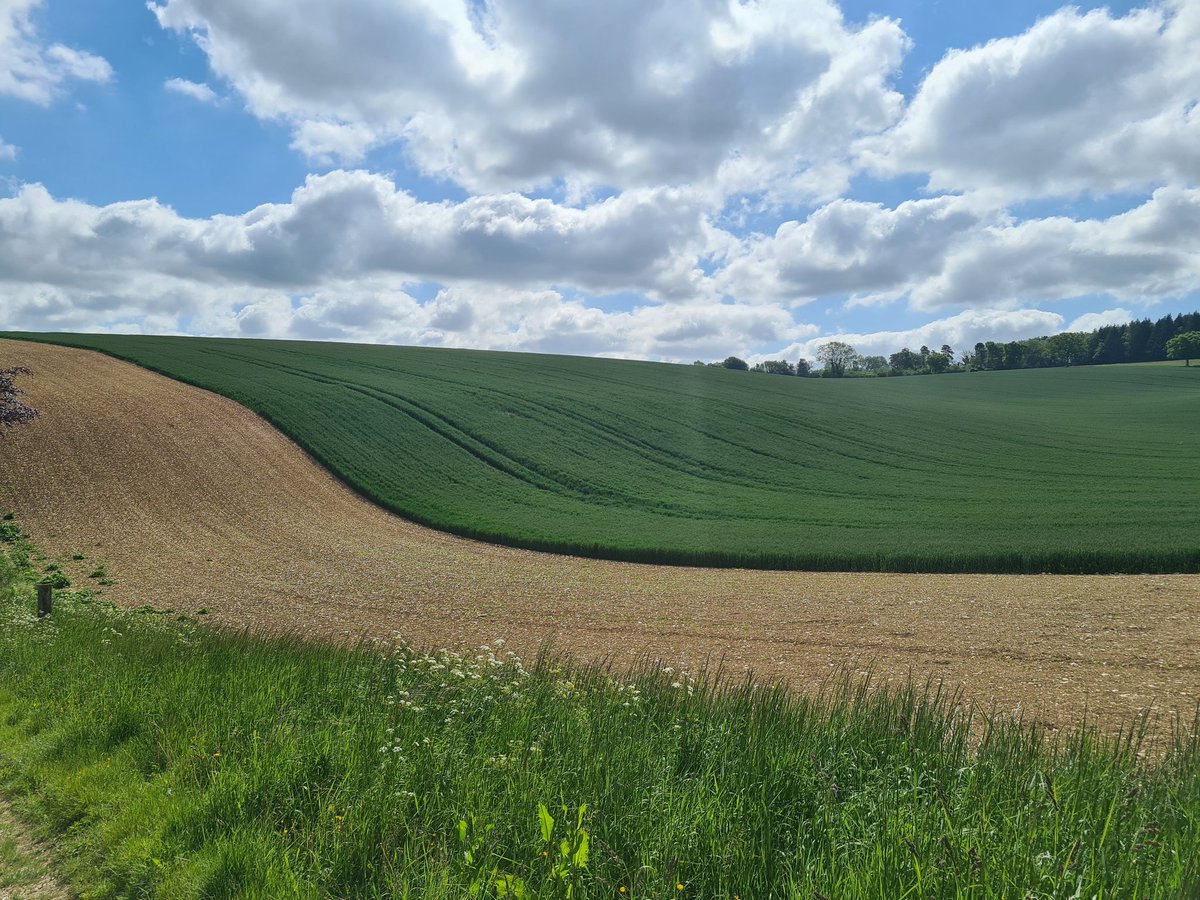 nomadicmark's tweet image. West Meon, Hampshire