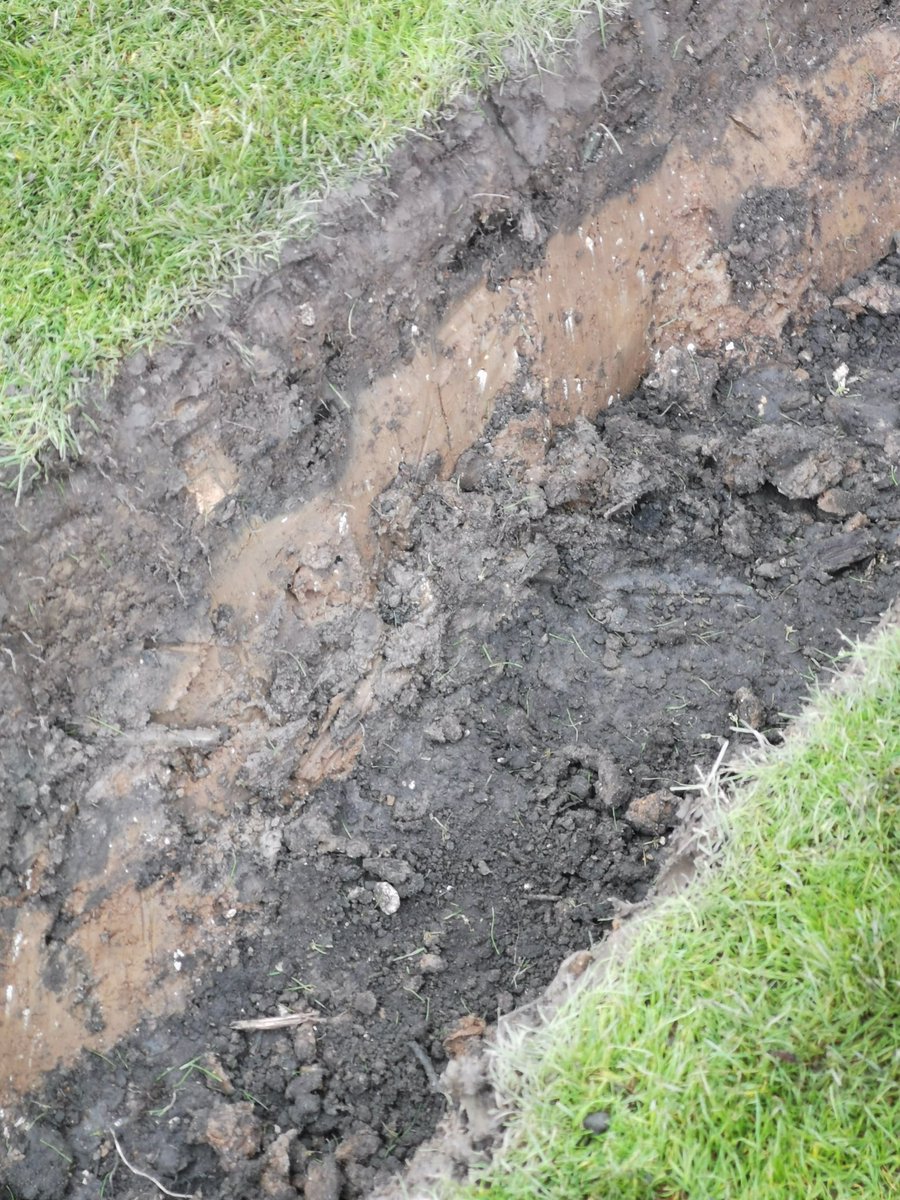 barebreads's tweet image. @LizzieRose_Hull hi guys im hoping to improve drainage. What substrate is the best fir my French drain any asvice is welcomed layer of clay with soil below. Thanks steve in barton