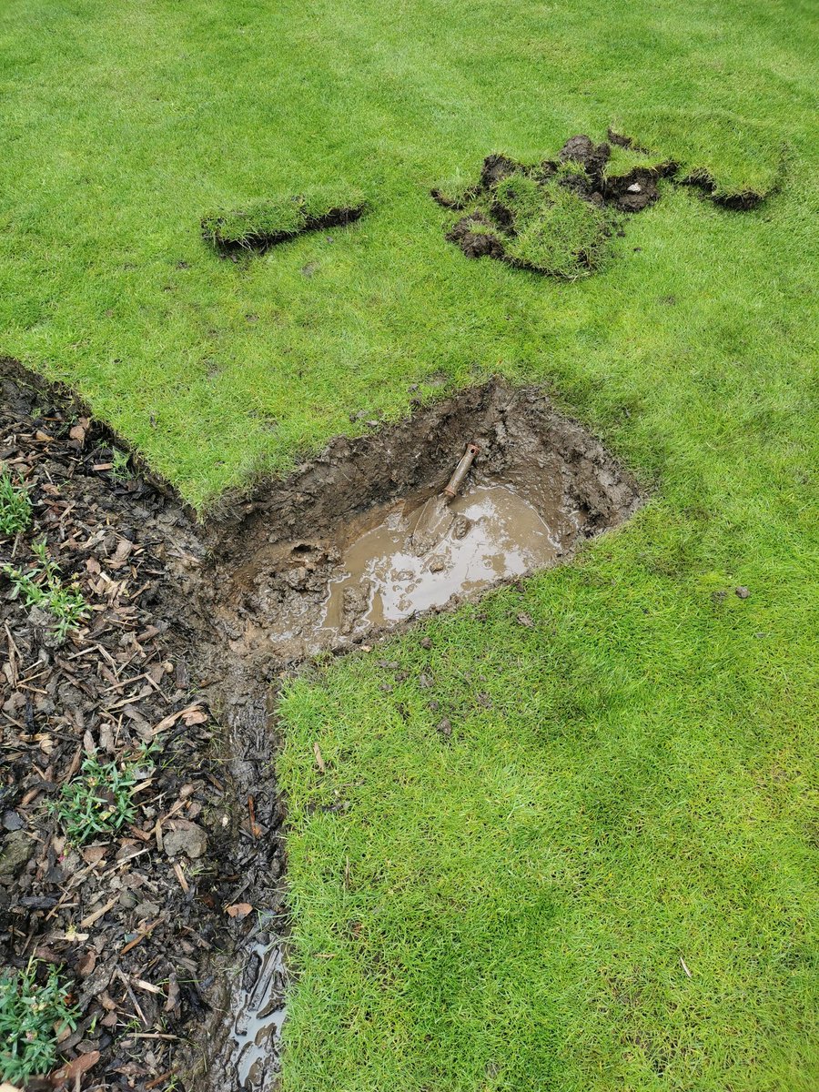 barebreads's tweet image. @LizzieRose_Hull hi guys im hoping to improve drainage. What substrate is the best fir my French drain any asvice is welcomed layer of clay with soil below. Thanks steve in barton