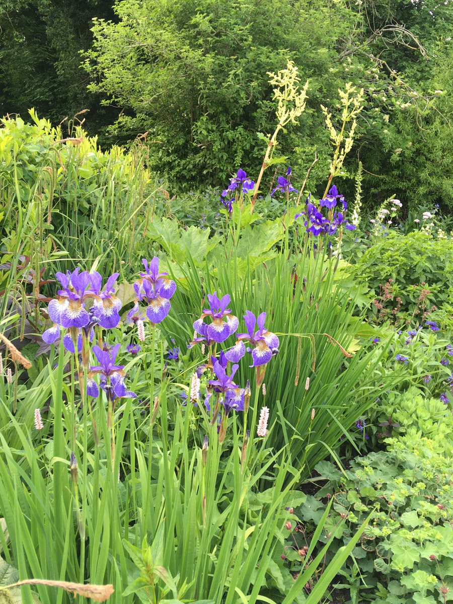 Our fabulous volunteers have been working hard in the #community #garden this year!