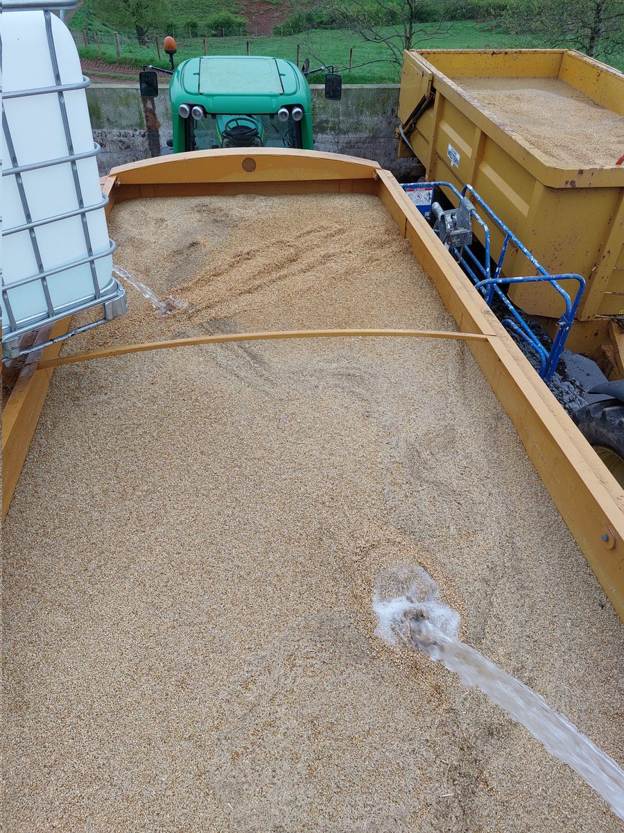JCampbellWhisky's tweet photo. We have been playing around on the farm this week. This is steeping our barley Lochlea style! #lochleadistillery #lochleafarm #eveythingispossible #steeping #ayrshire https://t.co/Xsa2mClFmg