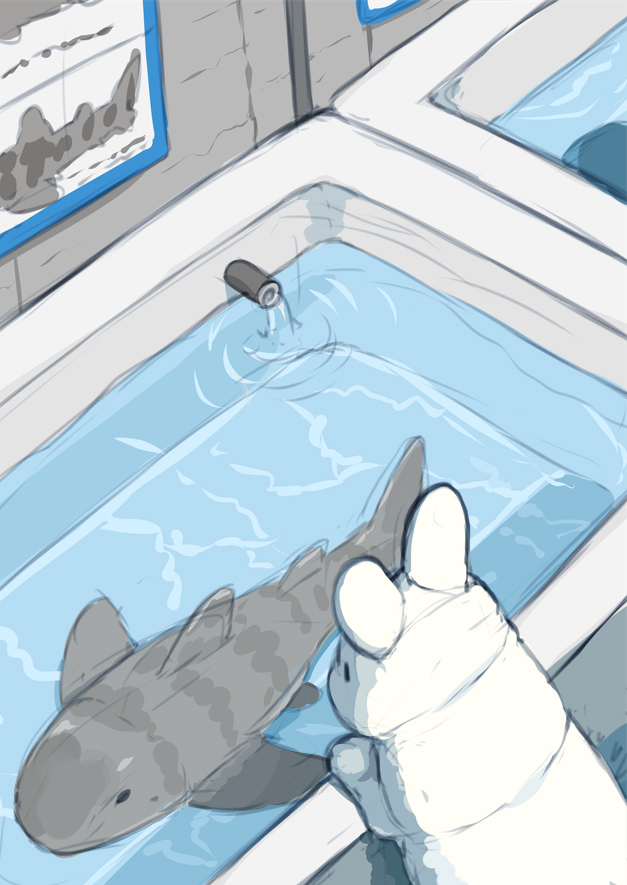 pool 1other water animal rabbit can shark general  illustration images
