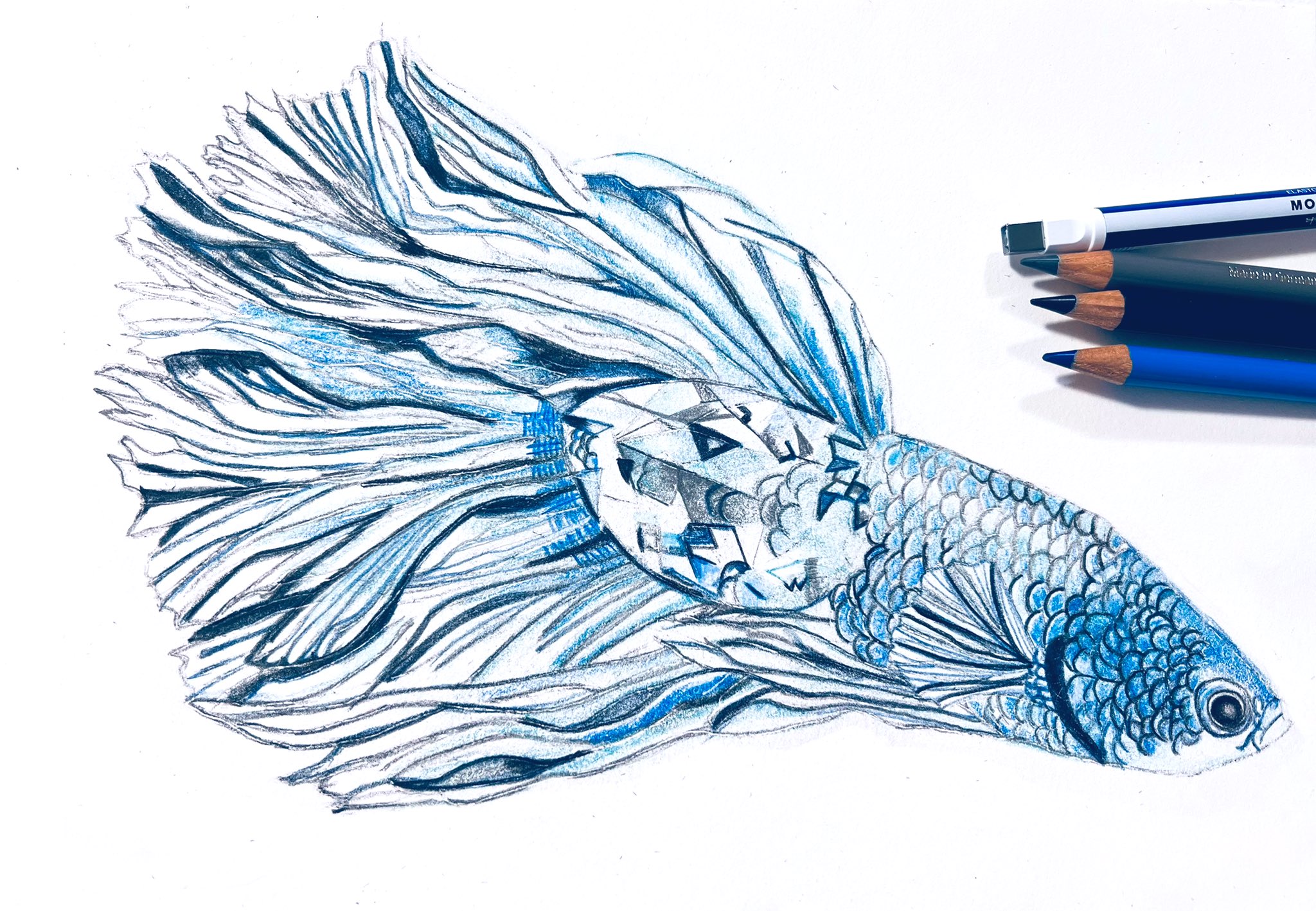 安部祐一朗の色鉛筆画「生物×宝石」の描き方 色鉛筆画 生き物×宝石