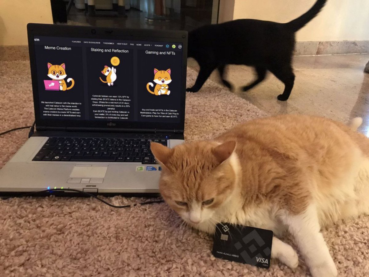 CateCoin tweet media